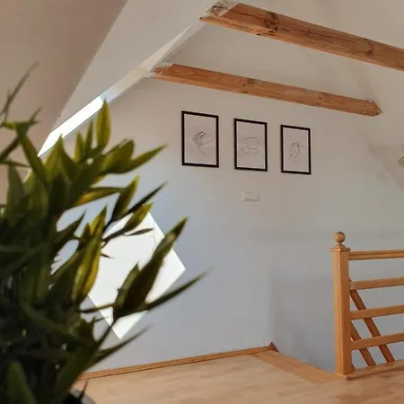 Albatros Pokoje I Studio Sopot Wyscigi Apartment Sopot
